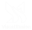 VisualIllusion